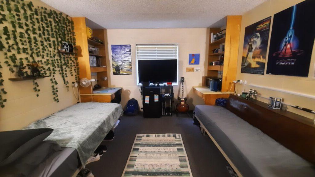 A dorm room with two single beds, a TV, posters on the walls, shelving units, a guitar, a laptop on a desk, and a rug on the floor. One wall is decorated with artificial vines.